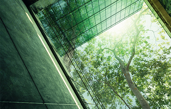 Fotografia de prédios e uma árvore iluminados a cor verde