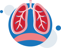 Ilustração de um par de pulmões normais